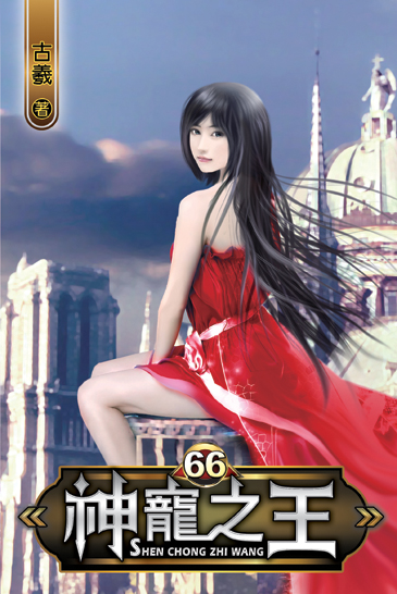 神寵之王66 封面