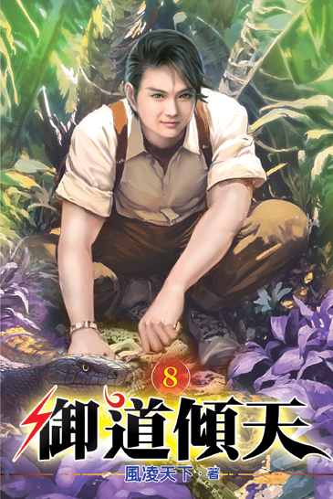 御道傾天08 封面