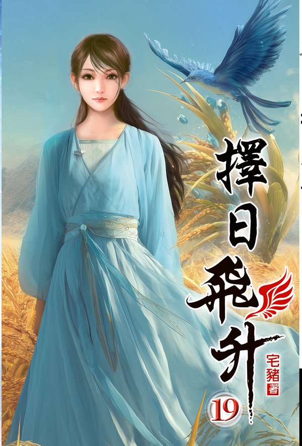 擇日飛升19 封面