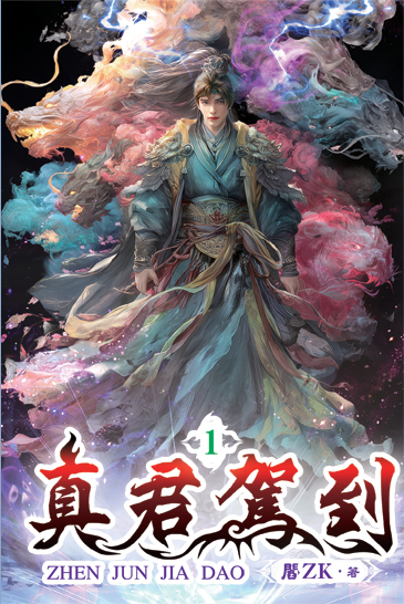 真君駕到 封面