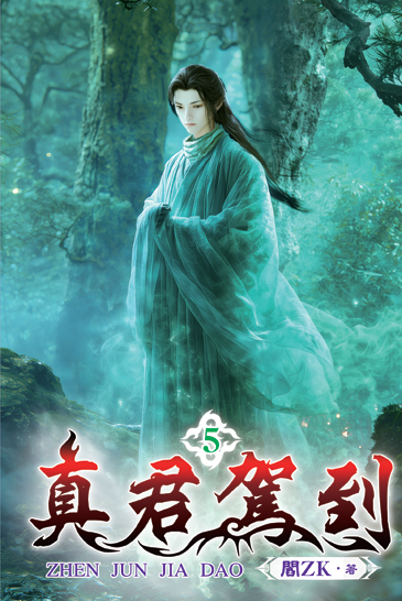 真君駕到5 封面