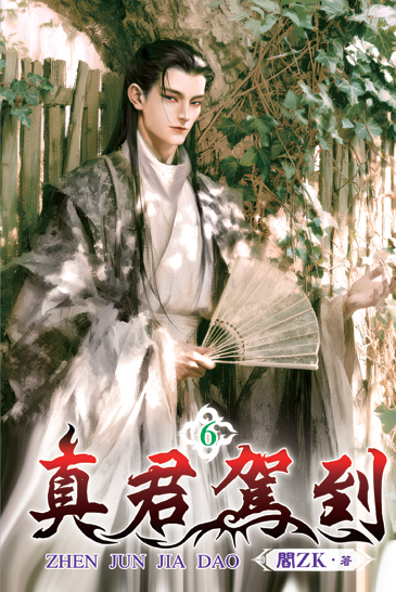 真君駕到6 封面