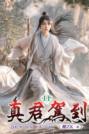 真君駕到11 封面