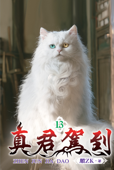 真君駕到13 封面