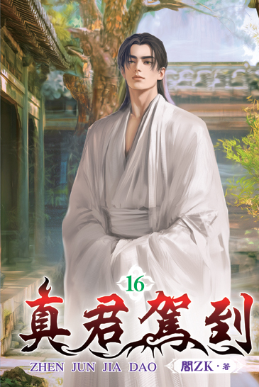 真君駕到16 封面