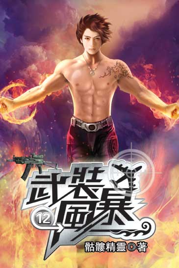 武裝風暴12 封面