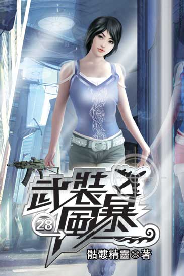 武裝風暴28 封面