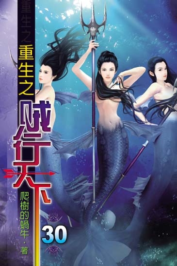 重生之賊行天下30 封面