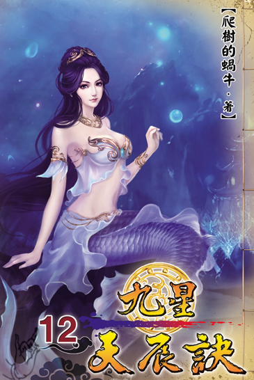 九星天辰訣12 封面