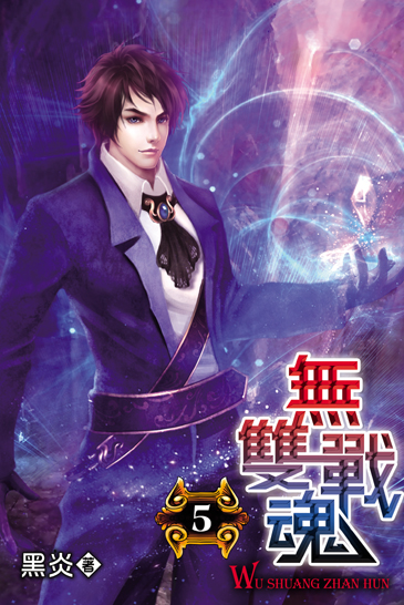 無雙戰魂5 封面