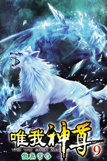 唯我神尊9 封面