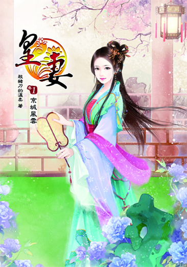 皇妻1 封面