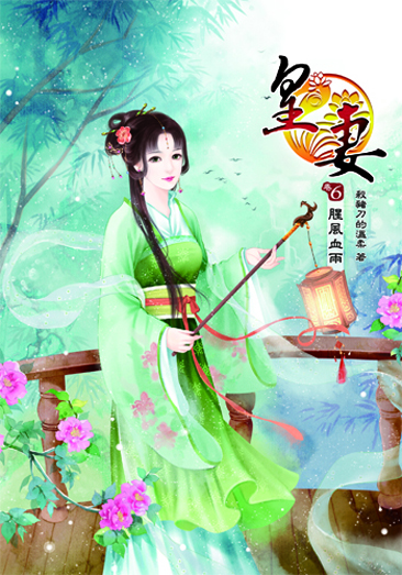 皇妻6 封面
