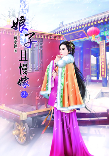 娘子且慢嫁2 封面