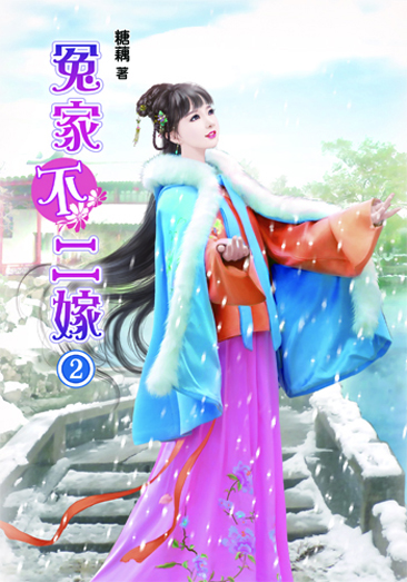 冤家不二嫁2 封面