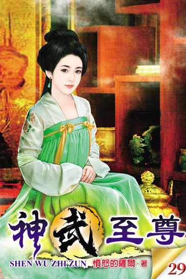 神武至尊29 封面